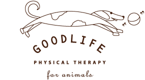 GOODLIFE PHYSICAL THERAPY for animals